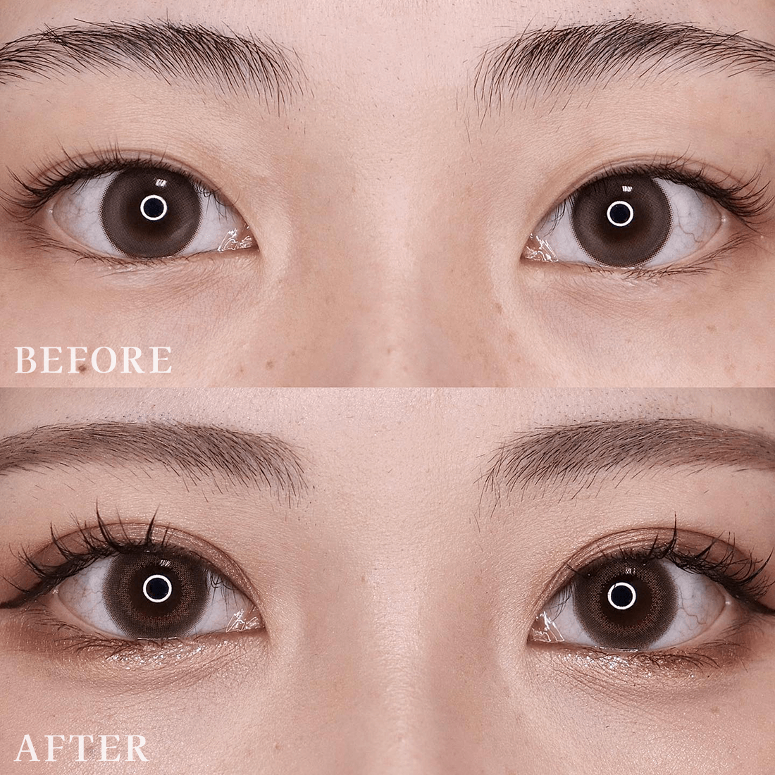 パーフェクトループ