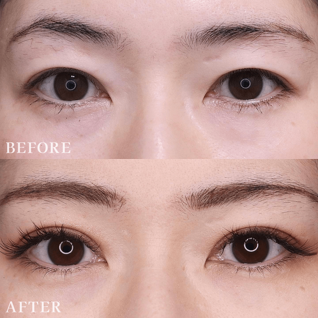 パーフェクトループ