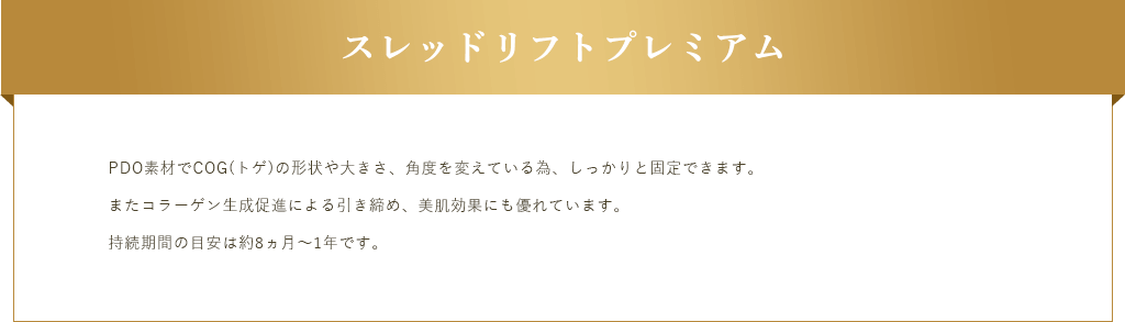 スレッドリフトプレミアム