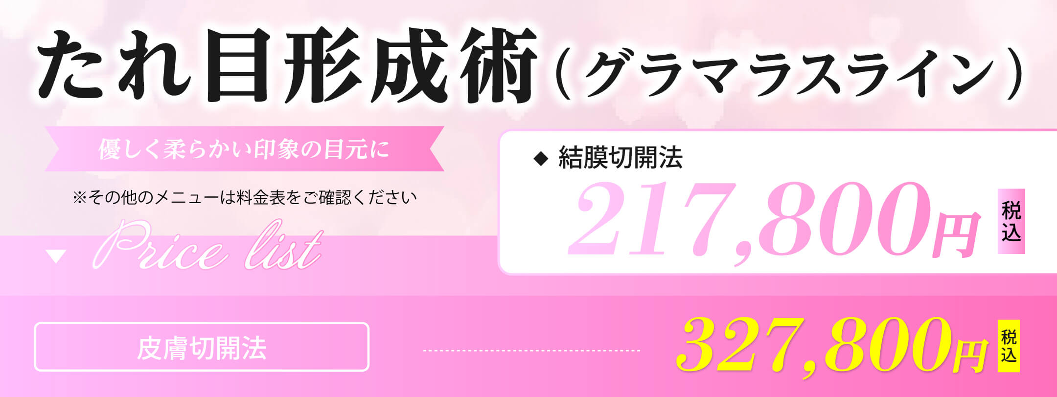 たれ目形成術（グラマラスライン）　217,800円