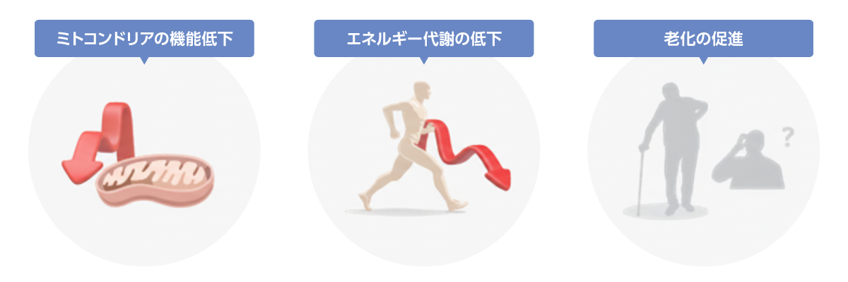 加齢と5-ALAの関係